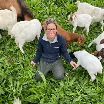 Sheep and beef farmer in Warwickshire who dabbles with 🐐 and 🐓. Regenerative farming newbie. Nuffield Scholar 2022: Mob Grazing ‘The mob-grazed flerd’.