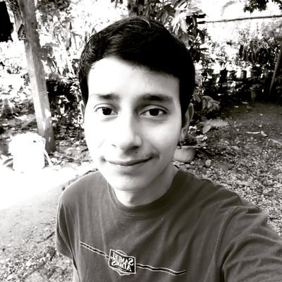 Amor a la industria de los videojuegos y deseos de pertenecer a ella.