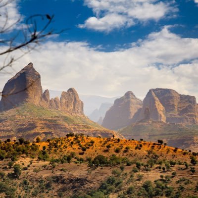 Ethiopian_Faith's profile picture. Proud Ethiopian. የምንፈልገው ወይ ኢትዮጵያዊ መሆን ወይም ኢትዮጵያ መሆን ነው:: #NoMore #EthiopiaShallPrevail