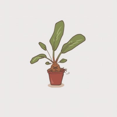及第点🥑さんのプロフィール画像