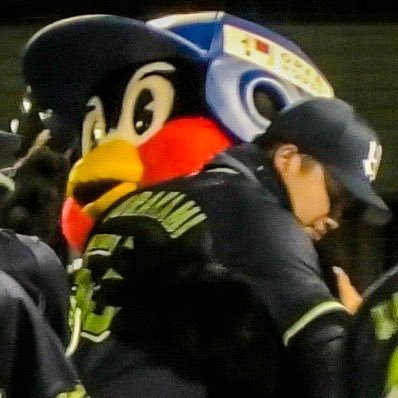 つば九郎を中心にスワローズや野球に関すること呟いたりリツイートしてます！ お気軽にフォローください YouTubeやってます！良いなと思ったらチャンネル登録も是非お願いします♪ リプは気ままな時に返します。ご了承くださいm(_ _)m