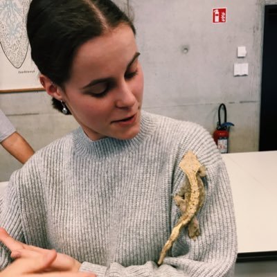 PhD student of the Functional Morphology Lab (UA) - Interested in lizard ecology, morphology, genomics, and evolution🦎- she/her