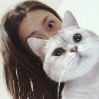 YIFAN L (@yifan_l) 's Twitter Profile