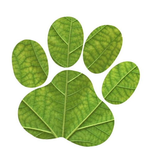 100% natural & raw dog food that gives your dog all the nutrients it needs to live a healthy, long life.