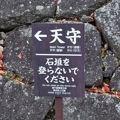 sh4869sh's profile picture. @sh4869_pub