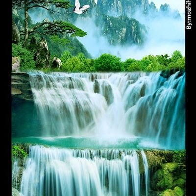 zhangjinzhu7's profile picture. 爱世界，爱科技，，，