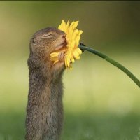Viv 🐭 (@cuendetv) 's Twitter Profile