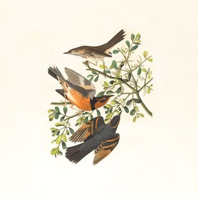 sumerya95's profile picture. Chemistry, Computer Programming