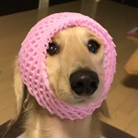 ハッシーさん (@mensuki_men) 's Twitter Profile Photo ハッシーさん (@mensuki_men) 's Twitter Profile Photo
