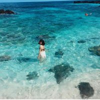 Bui Bao Duy (@buibaoduy4) 's Twitter Profile