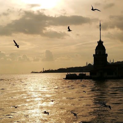 AhmetElburuz's profile picture. 