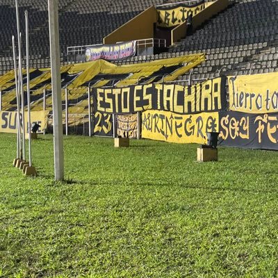 Hincha del deportivo Tachira