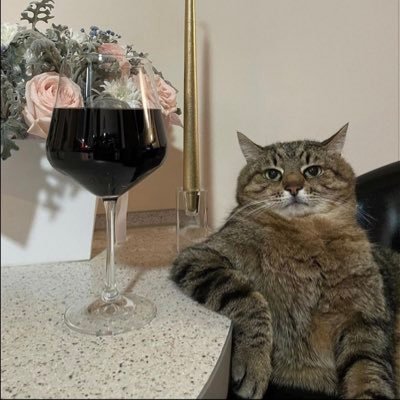 bori_papa's profile picture. to the moon~