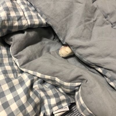 studylalala's profile picture. mau belajar plis