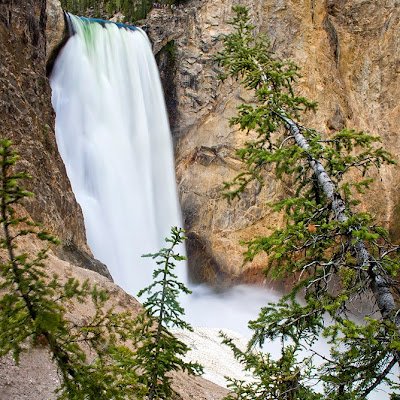 nkkmoloti's profile picture. Hustle