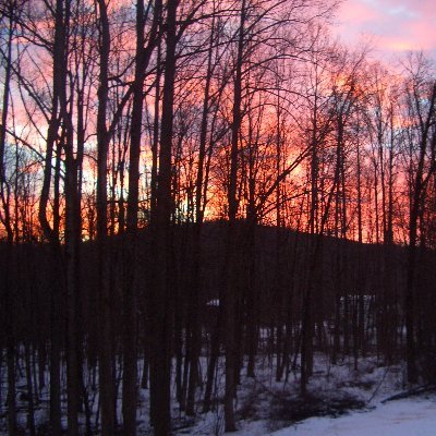 tlgogarty's profile picture. 