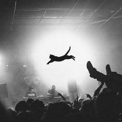 somecallitx's profile picture. endfluencer / circadian polyrhythmist / buttons, faders, records, pixels / words & code, tea & coffee / VR demigod