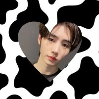 aca 🐄 (@plooshoon) 's Twitter Profile
