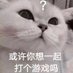 人间小豆包 (@dtapipi_) Twitter profile photo 人间小豆包 (@dtapipi_) Twitter profile photo