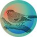 Estructures Populars de Manresa (@xepcmanresa) Twitter profile photo Estructures Populars de Manresa (@xepcmanresa) Twitter profile photo