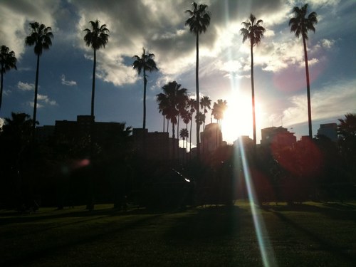 helkathen's profile picture. 