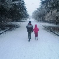 Al Gee (@a1an_g) 's Twitter Profile