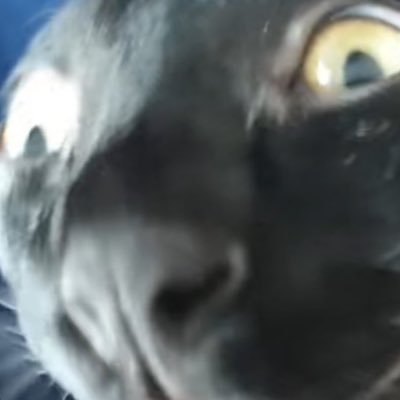 FnDavid2's profile picture. @Davidfn52381584 is my main