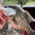 @Southerncrossbaits (@southerncrossb1) Twitter profile photo @Southerncrossbaits (@southerncrossb1) Twitter profile photo