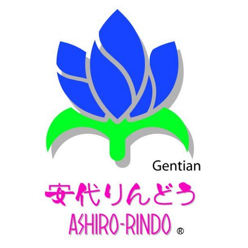 岩手県八幡平市でりんどうというお花を生産しています。『安代りんどう』は日本最大のりんどう出荷組合のブランドです。