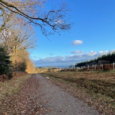 Christabelle131's profile picture. Hey 👋🏼 thanks for dropping by. please follow me. looking forward to making new special twitterfriends. 💋 lets tweet soon 💋