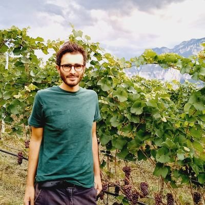 Micfara's profile picture. Researcher @UniTrento