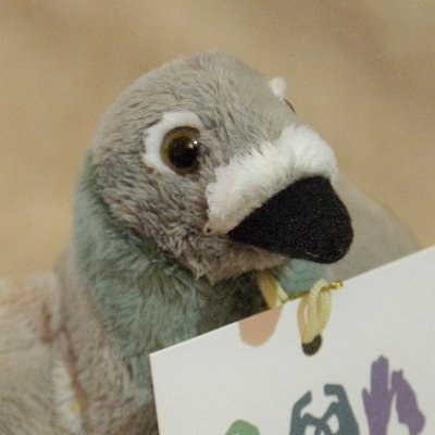 CBabysigning's profile picture. Cheltenham Baby Signing Classes show you how to communicate with your baby using British Sign Language (BSL). We play games, sing songs and sign!