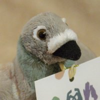 Cheltenham BabySigning (@cbabysigning) 's Twitter Profile