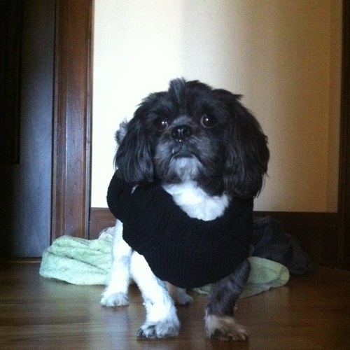 2pacbilly's profile picture. 