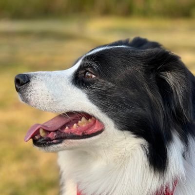 zinai2021's profile picture. code and tea