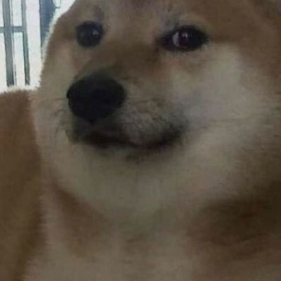 Mike46210264's profile picture. 