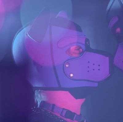 28 ♂️ 🏳️🌈 Cinci and general horny fuck.
Must be 18+ to follow
💙💜💙💜💙💜💙