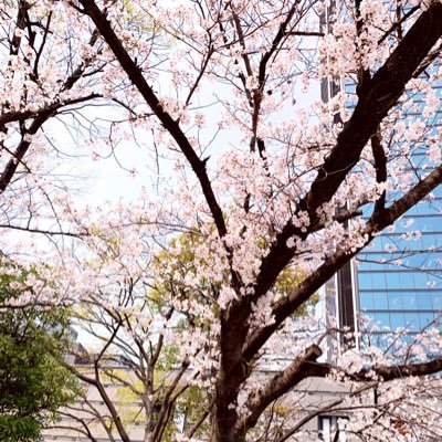 ichi_ichi_11111's profile picture. 彼氏がいるのにたまに満たされなくなって 満たされたい時にひょっこりくるアカウント。所詮裏垢とかいうやつ。大阪。剛毛、アトピー肌、ブサイクの三重苦と共に生きてます。