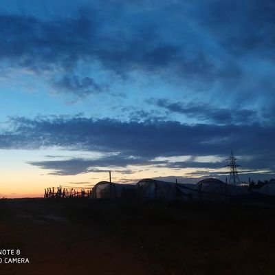 cryptothranduil's profile picture. 