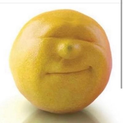 Robert86347560's profile picture. my robert twitter