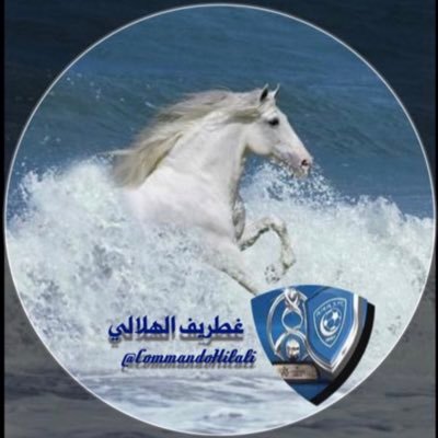 #الهلال_الزعيم_الملكي_العالمي_الإستثنائي هذا الكيان العظيم