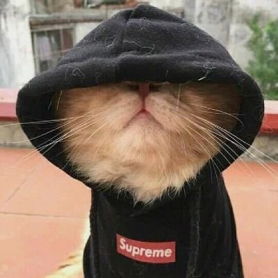 AdrestiaA19's profile picture. I AM 21?!?
fuck