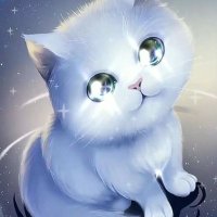 Vicky Lopez (@ngocnu12719359) 's Twitter Profile