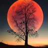 AlialhadiKalan1's profile picture.
