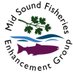 Mid Sound Fisheries Enhancement Group (@midsoundfish) Twitter profile photo Mid Sound Fisheries Enhancement Group (@midsoundfish) Twitter profile photo