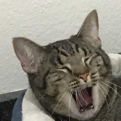 CC_1759's profile picture. hi. melee is sick!