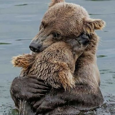 dylan_odaya's profile picture. we are a group of online experts committed to handling all academic assignment's including coded language.
Email: dylanodaya@gmail.com