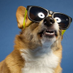 James Campisi (@campisibelow) Twitter profile photo James Campisi (@campisibelow) Twitter profile photo