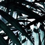 2qs's profile picture. 1/50,653