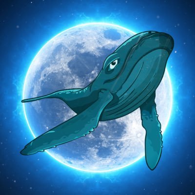 MiraiWhale's profile picture. Content creator for @MiraiReformHQ | Supporter of all things $MIRAI + $NALA | Everything is risky. Choose your risk.